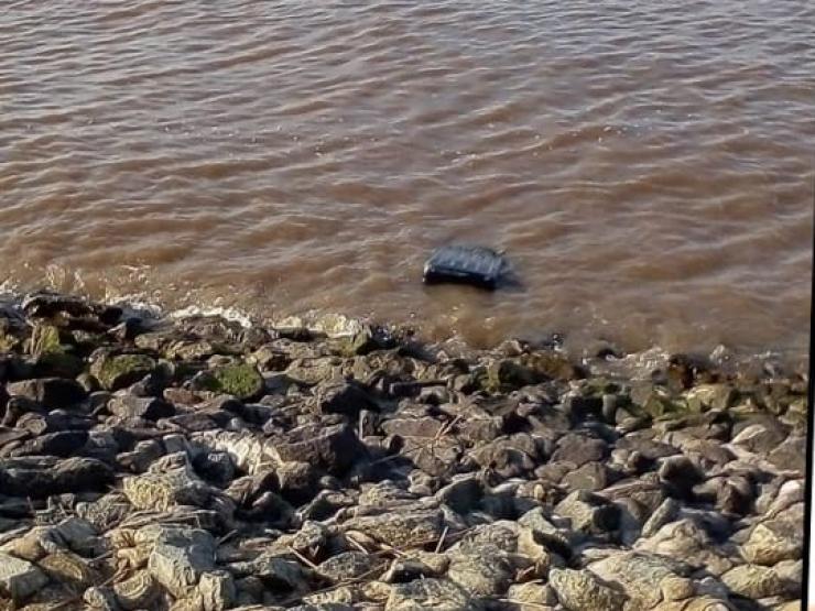 Pháp luật - Chiếc vali trôi sông tố tội ác của gã chồng với người vợ xinh đẹp, dễ mến