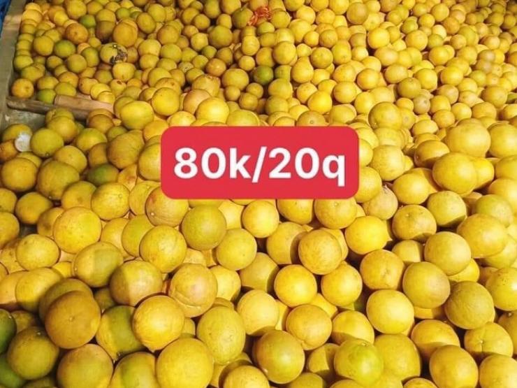 Thị trường - Tiêu dùng - Hàng loạt bưởi đặc sản “đổ bộ” Thủ đô với giá “siêu rẻ”, chỉ từ 3.000 đồng/quả