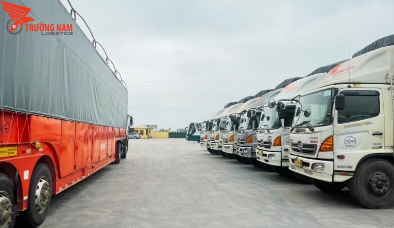 Trường Nam Logistics luôn có kế hoạch vận chuyển hợp lý trước, trong và sau dịch Covid