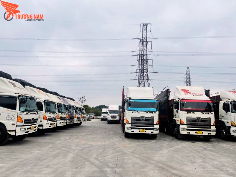 Chặng đường 20 năm vươn tầm bản thân của Trường Nam Logistics