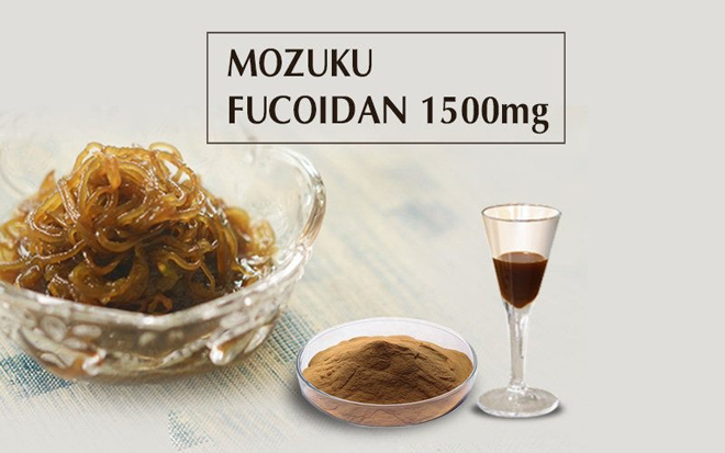 Fucoidan là một hợp chất đặc biệt được tìm thấy trong tảo nâu Nhật Bản