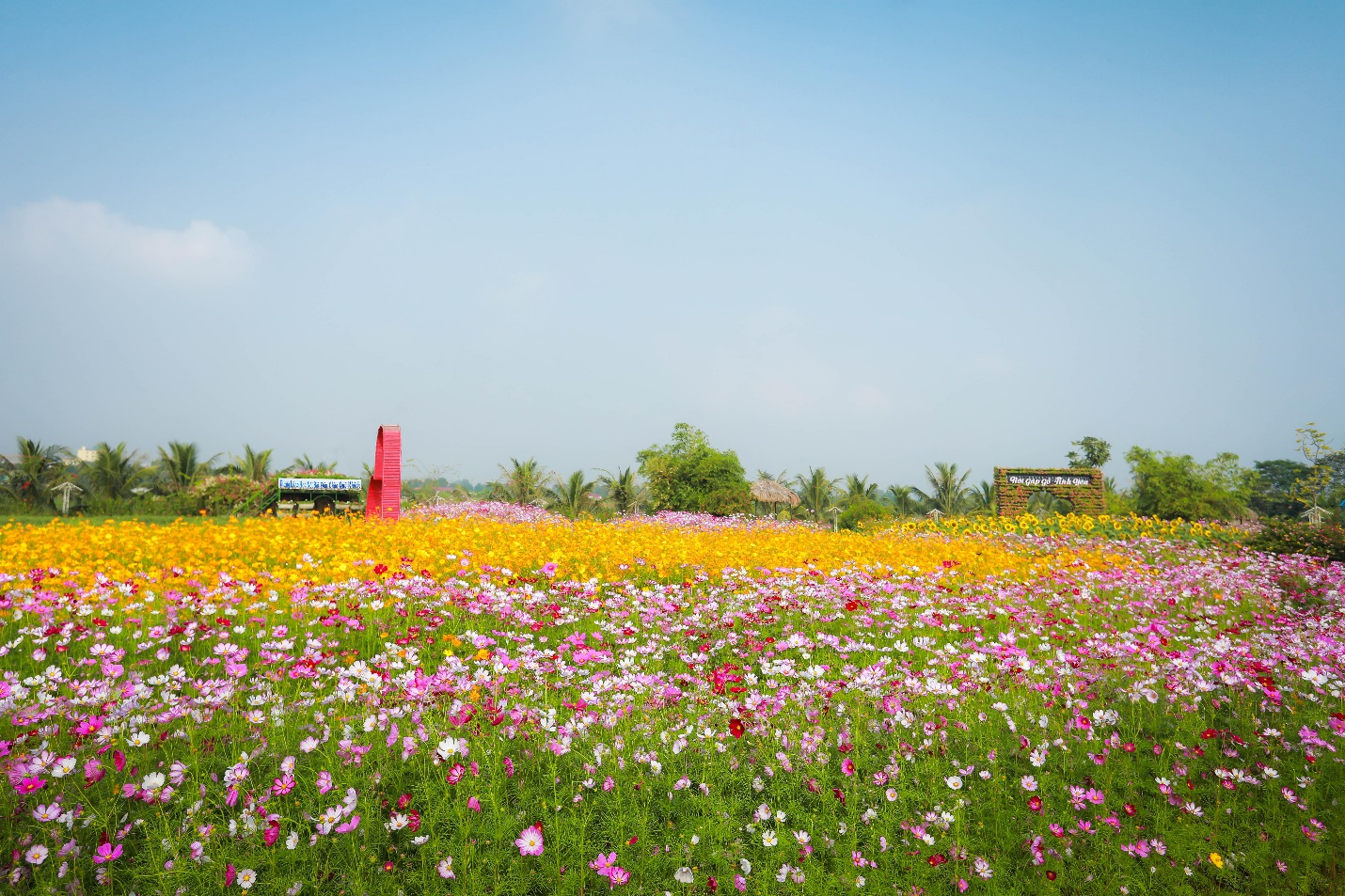 Khu vườn rực rỡ nhiều loại hoa được ưa thích (chụp tại Thung lũng hoa Nội Bài)