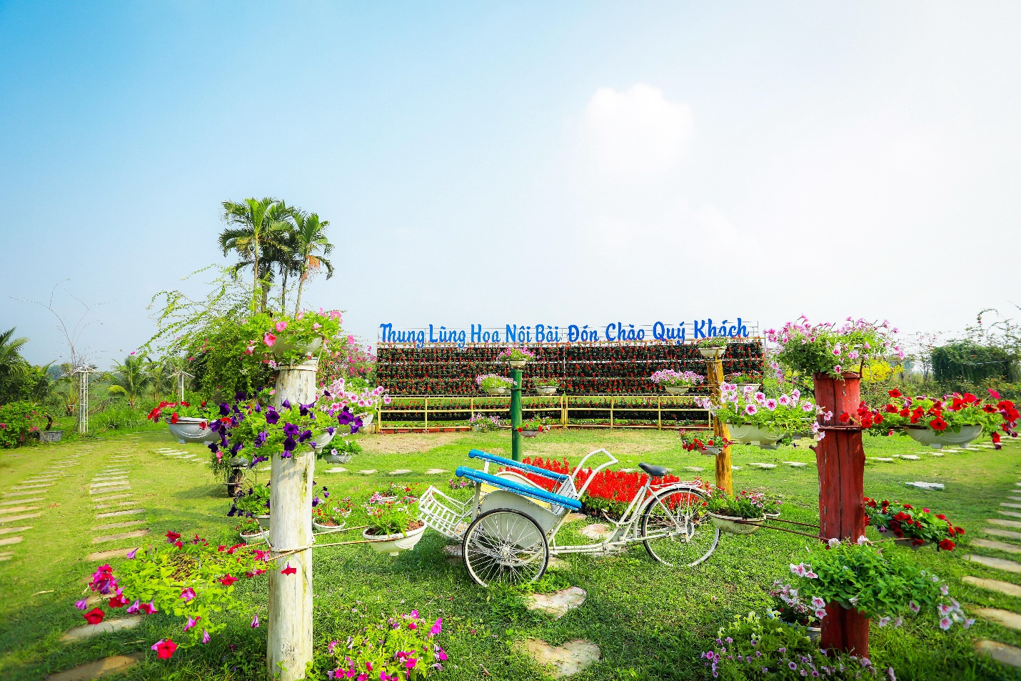 Thung lũng hoa Nội Bài ở cầu Kim Sơn, Sóc Sơn, Nội Bài