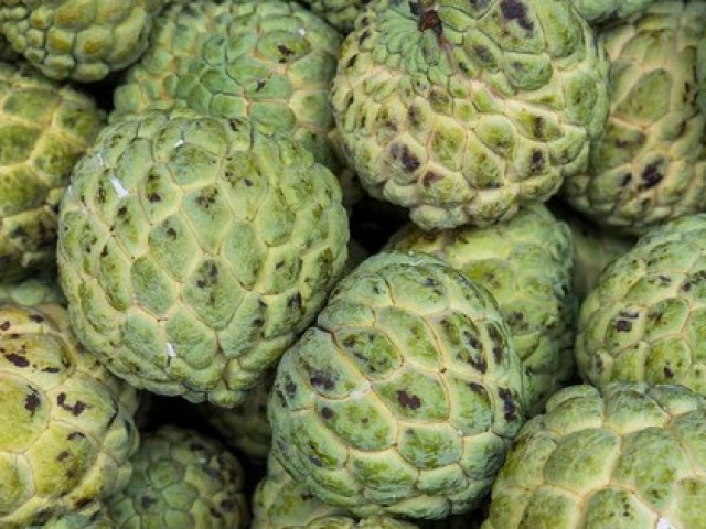 Sức khỏe đời sống - Loại trái cây có thể giúp làm sạch phổi bảo vệ sức khỏe