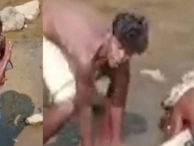 Phi thường - kỳ quặc - Người đàn ông suýt gặp nguy vì liều lĩnh bắt trăn lớn quàng vào cổ