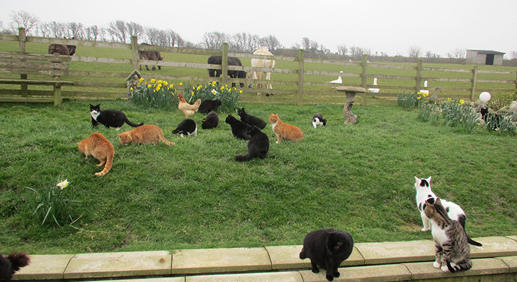 Top 10 địa điểm kỳ quặc nhất ở quê hương đội tuyển Tam Sư - 5