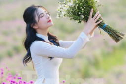 Bạn trẻ - Cuộc sống - Giới trẻ mê mẩn check-in với thảm hoa tím giữa lòng Hà Nội