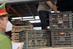Thị trường - Tiêu dùng - Liên tiếp phát hiện nhiều phương tiện vận chuyển hàng hóa không rõ nguồn gốc