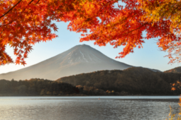 Du lịch - Mùa thu Nhật Bản rực rỡ, đẹp đến xiêu lòng