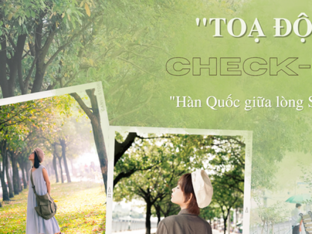 Du lịch - Tọa độ check-in: Con đường lá bay đẹp như bên Hàn, không thu phí lại có ảnh xịn xò mang về