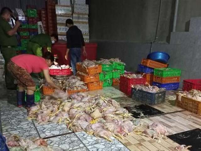 Thị trường - Tiêu dùng - Thu mua gà chết 4.000đ/kg về làm sạch đem bán