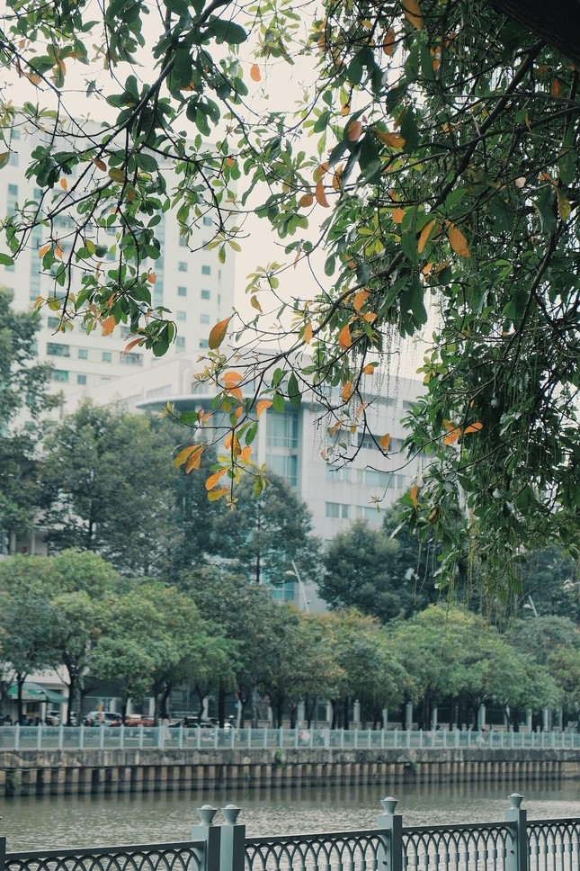 Đây cũng là một địa điểm ngắm hoàng hôn lý tưởng. Ảnh: Thành Đạt Phan