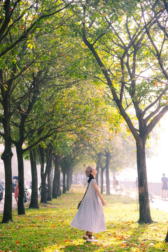 Cứ ngỡ cô bạn này đang dạo chơi bên Hàn. Ảnh: Võ Ngọc Vy