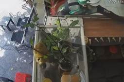 Pháp luật - Nữ sinh bị người mặc đồ xe ôm công nghệ trộm điện thoại trong 10 giây