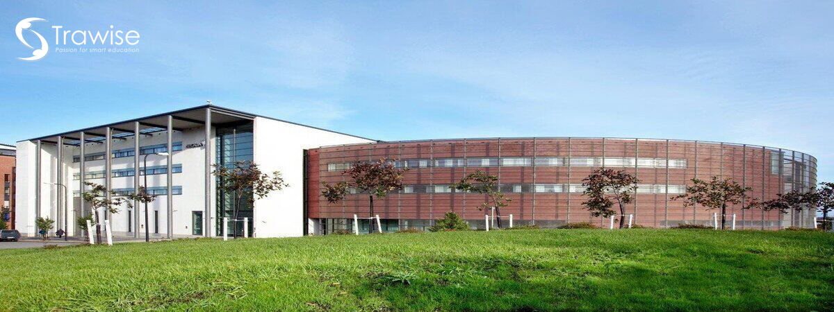 Arcada: Lựa chọn thông minh ở hiện tại, soi sáng cho tương lai - 3