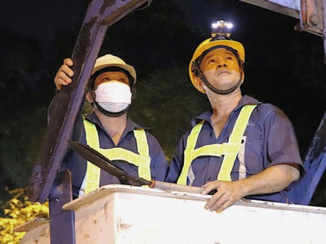 Tin tức trong ngày - Hình ảnh xuyên đêm cắt nhánh cây ở TP HCM