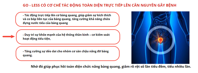 Cơ chế tác động toàn diện của Go-Less