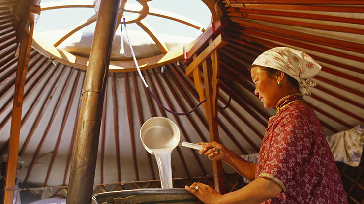 Thức uống từ sữa ngựa của người Mông Cổ rất bổ dưỡng, khách quý mới được mời - 6