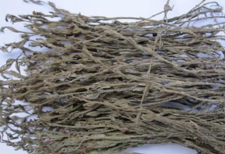 Đem thứ hiếm có này đi phơi khô, bán 3 triệu/kg vẫn ùn ùn người mua - 3