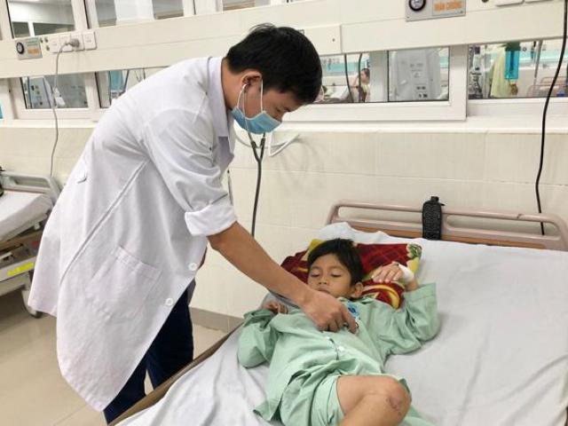 Quảng Ngãi: Rắn lục đuôi đỏ “tái xuất” cắn bị thương nhiều người