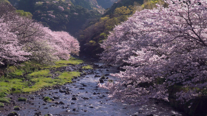10 ngôi làng tuyệt đẹp nên ghé thăm nhất Nhật Bản - 6