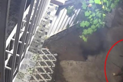 Pháp luật - Một Trưởng ban công tác Mặt trận bị đâm tử vong khi can ngăn hàng xóm cãi nhau