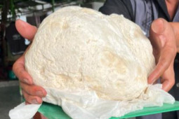 Tin tức trong ngày - Ngư dân vớt được vật lạ nghi là long diên hương quý hiếm