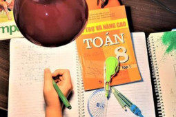 Giáo dục - du học - Chuyên gia chỉ cách giúp học sinh không kiệt sức khi phải thức khuya học bài