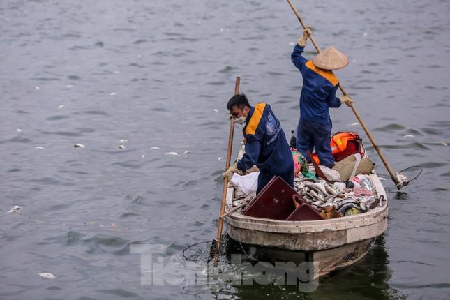 Hà Nội: Huy động thêm ca nô sục nước, vớt cá chết ở hồ Tây - 5