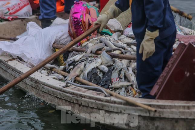 Hà Nội: Huy động thêm ca nô sục nước, vớt cá chết ở hồ Tây - 7