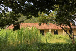 Tin tức trong ngày - Khu nhà biệt lập giữa núi rừng của những người khốn khổ