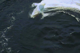 Thế giới - Quân đội Ukraine nói về thời điểm tiến vào Crimea