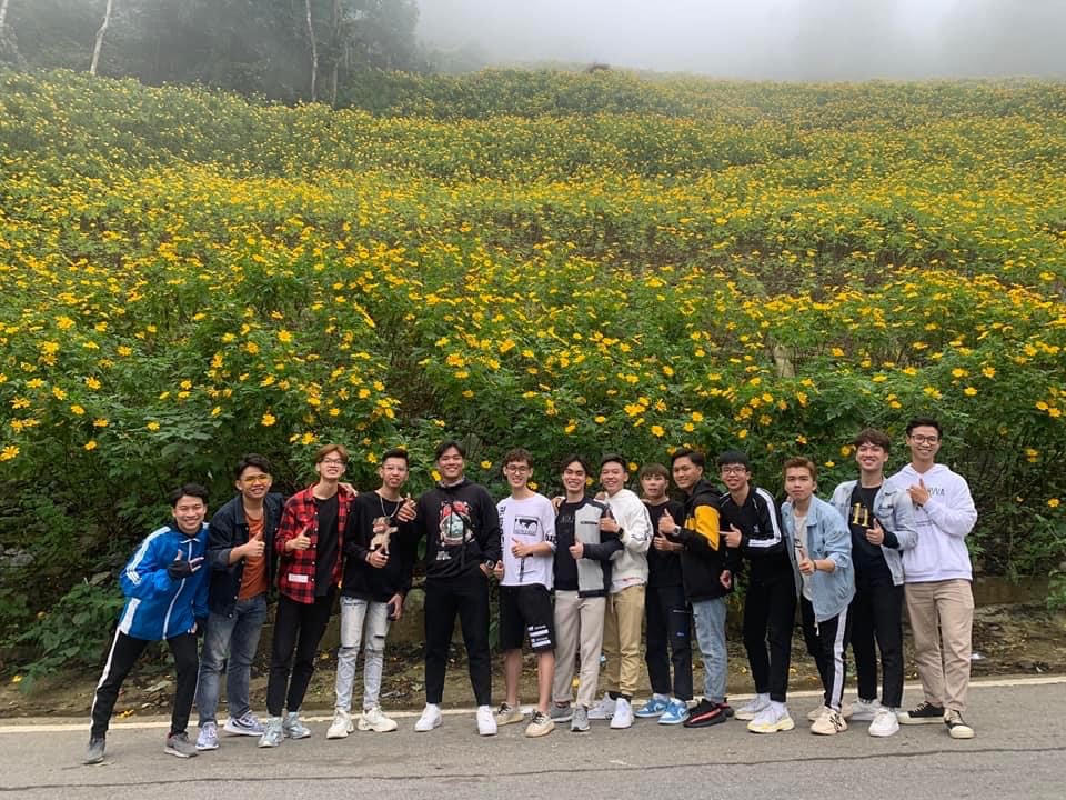 Du khách đổ về đông do hoa dã quỳ đang nở rộ