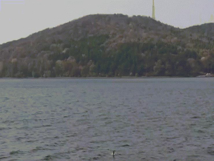 Thế giới - Trung Quốc đặt niềm tin vào những thiết bị vừa bay vừa bơi