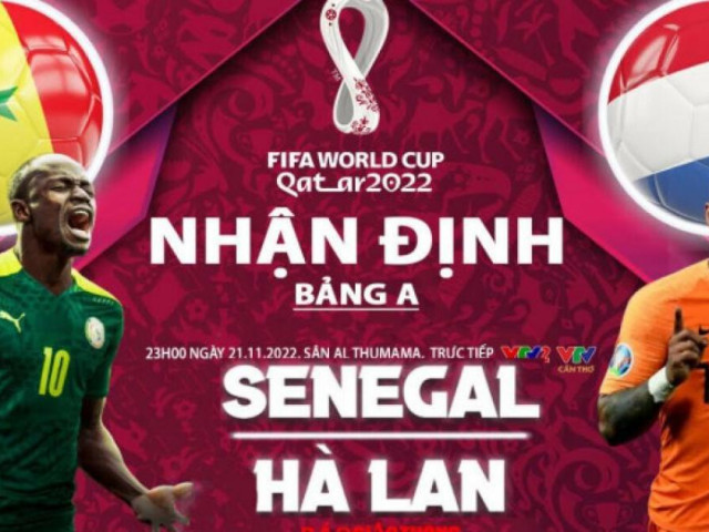 Bóng đá - Nhận định, dự đoán kết quả Senegal vs Hà Lan, bảng A World Cup 2022