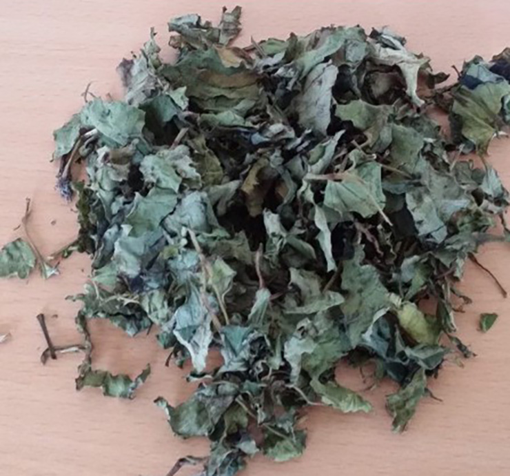 &nbsp;Ngoài rau diếp cá tươi, rau diếp cá khô cũng bán rất đắt hàng, có giá từ 65.000-80.000 đồng/kg
