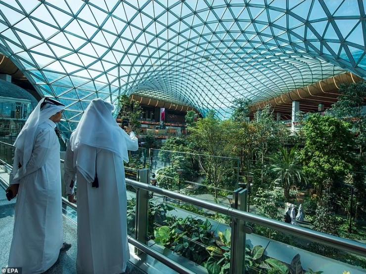 Chi hàng chục tỷ USD, Qatar đưa ”rừng cây” vào sân bay phục vụ World Cup 2022