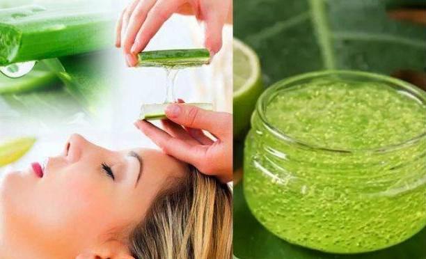 Thoa gel nha đam thường xuyên kích thích mọc tóc.