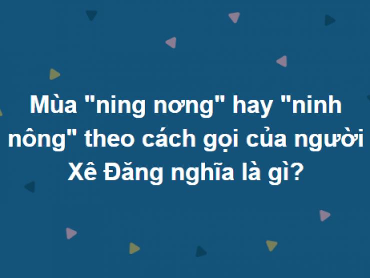 Giáo dục - du học - Cho các nơ-ron thần kinh "tập gym" bằng bộ câu hỏi hiểm hóc này