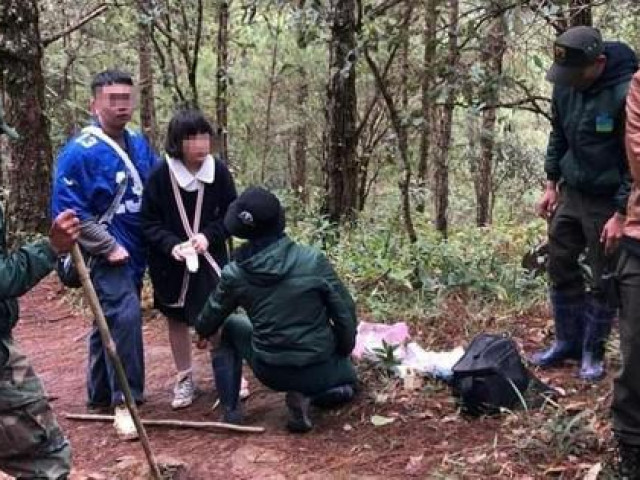 Tin tức trong ngày - Tìm thấy 2 du khách đi lạc trong Vườn Quốc gia Bidoup Núi Bà