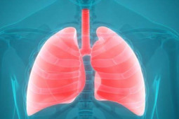 Sức khỏe đời sống - Cẩn trọng với căn bệnh khiến nhiều người mắc bệnh và có nguy cơ tử vong cao trên thế giới