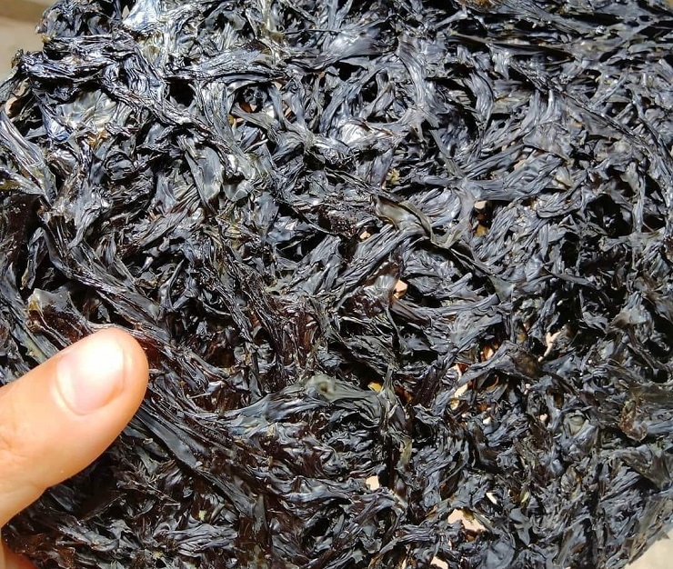 Rong mứt ở Tam Hải, huyện Núi Thành (Quảng Nam) được cho là có giá nhất, từ 3-4,5 triệu đồng/kg.
