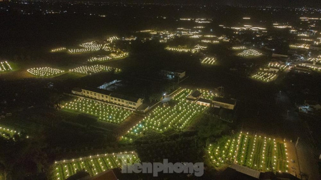 Thời điểm này, người dân ở “thủ phủ” trồng hoa ở Quảng Ngãi đang bước vào cao điểm vụ hoa Tết Nguyên đán Quý Mão 2023 với cảnh cánh đồng sáng choang khi người nông dân chiếu bóng điện cho hoa cúc... việc chong đèn thâu đêm để “đánh thức”, không cho hoa cúc “ngủ”. Từ 18h hàng ngày, các làng hoa bắt đầu lên đèn lung linh.