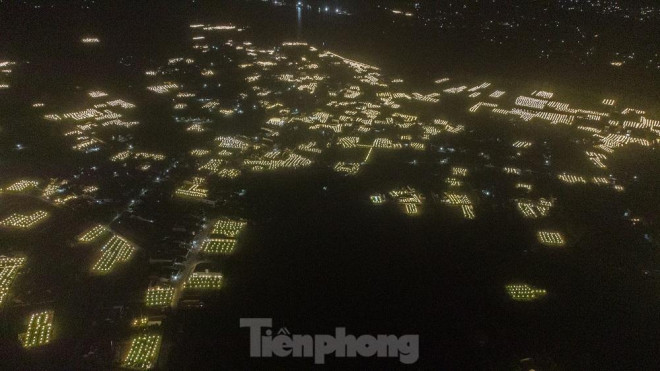 Kỹ thuật ép ''Cúc'' không ngủ ở thủ phủ hoa tết Quảng Ngãi - 1