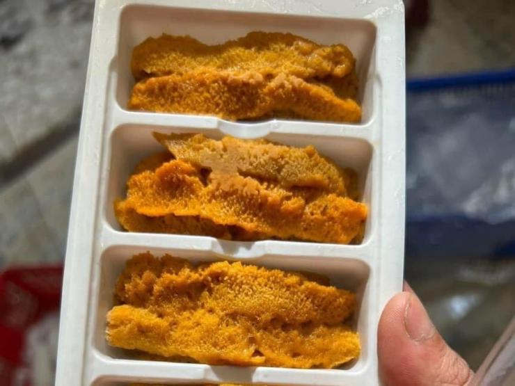 Thị trường - Tiêu dùng - Loại trứng từ con vật toàn gai, giá bán hơn 20 triệu/kg vẫn hút khách Việt