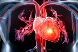 Sức khỏe đời sống - Muốn bảo vệ trái tim quý như kim cương, bạn nhất định phải biết những điều này