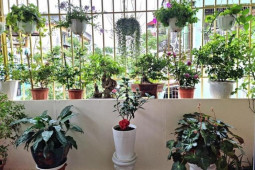 Kinh doanh - Giá nhà ở tăng chóng mặt, với hơn 1 tỷ đồng tôi có thể mua được nhà trong phố không?