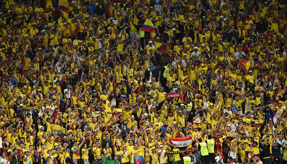 Cổ động viên Ecuador trong trận thi đấu giữa đội nhà với đội quyển Qatar (ảnh: Reuters)