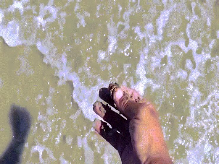 Phi thường - kỳ quặc - Người đàn ông lập tức làm việc này sau khi nhặt được nhẫn kim cương gần 1 tỷ đồng