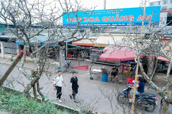 Đi dọc con đường ở chợ Quảng An, quận Tây Hồ, TP Hà Nội từ nhiều ngày nay đã tràn ngập những hoa lê rừng phục vụ cho nhu cầu của người dân dịp cận Tết dương lịch 2023.